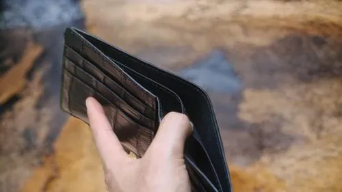 the person is holding their wallet with the hand,wallet,wallets,stack book binder,piece of money,cardholder,omnibook