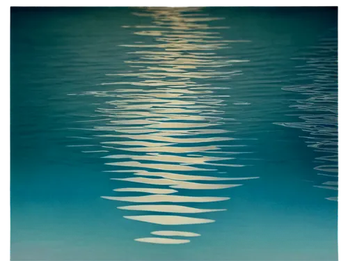 ripples,reflection of the surface of the water,reflection in water,reflections in water,water surface,pool water surface,water reflection,calm water,surface tension,water scape,matruschka,ripple,waterscape,water waves,shallows,calm waters,olle gill,underwater landscape,soundwaves,waveform,Illustration,Realistic Fantasy,Realistic Fantasy 35