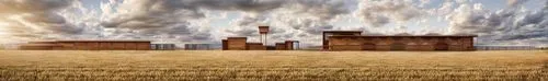 grain plant,grain field panorama,industrial landscape,wheat field,wheat crops,wheat grain,coal-fired power station,dust plant,wheat fields,grain field,wheat grasses,einkorn wheat,barley field,strands of wheat,thermal power plant,grain harvest,flour mill,sprouted wheat,coal fired power plant,combined heat and power plant