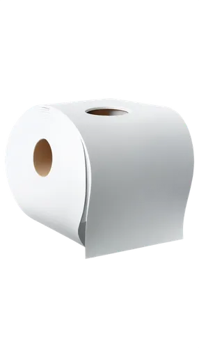 toilet roll,kitchen roll,toilet tissue,toilet paper,paper roll,cinema 4d,3d model,tissue,3d object,fiberglas,cylinder,paper scroll,loo paper,aluminum tube,nonwoven,cylindrical,corrugated sheet,rolls of fabric,cylinders,bathroom tissue,Illustration,Vector,Vector 13