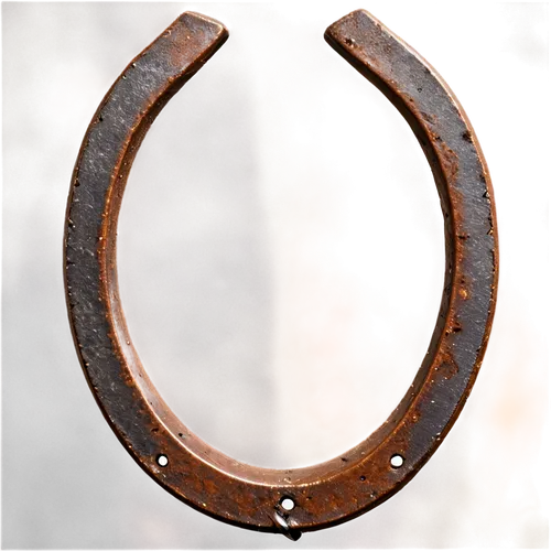 horseshoe,circular ring,iron ring,extension ring,manacles,nuerburg ring,horseshoe maker,wooden rings,horse shoe,tsuba,horseshoes,aranmula,standring,split rings,ring,unshackle,bridle,bridles,torc,rusty locks,Conceptual Art,Fantasy,Fantasy 26