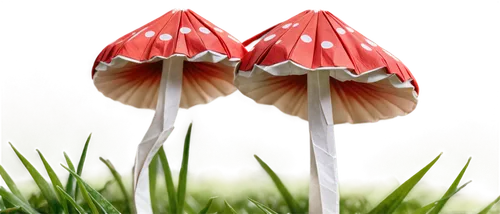toadstools,red mushroom,marasmius,hygrocybe,conocybe,mycena,mushroom landscape,clitocybe,coprinus,agarics,red fly agaric mushrooms,waxcap,inocybe,milkcap,mushrooms,club mushroom,forest mushrooms,muscaria,fly agaric,toadstool,Unique,Paper Cuts,Paper Cuts 02