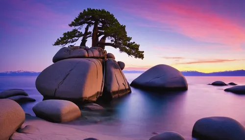 Bonsai Rock, California, Lake Tahoe, Rocks, Sand Harbor State Park, Sunset, 加利福尼亚, 太浩湖, 盆景岩, 落日,lake tahoe,vancouver island,isolated tree,lone tree,tahoe,ruby beach,norway island,the japanese tree,bri