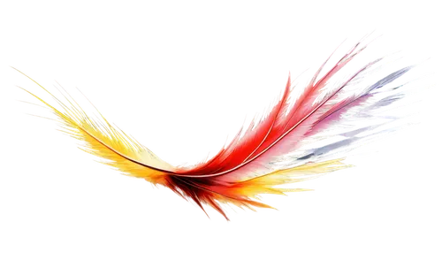 uniphoenix,phoenixes,sunburst background,plumes,phoenix rooster,feather,firespin,flame spirit,airburst,firebolt,pheonix,pentecostalist,chicken feather,color feathers,angelfire,plume,bird of paradise,fireflight,fire kite,simurgh,Art,Classical Oil Painting,Classical Oil Painting 06