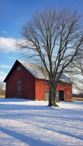 red barn,field barn,old barn,quilt barn,barns,vermont,aroostook county,winter landscape,barn,snow fields,farm landscape,round barn,farmstead,horse barn,gable field,harghita county,snow landscape,snowy landscape,farm hut,wisconsin,Conceptual Art,Daily,Daily 08