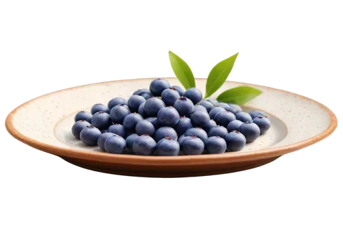 bilberry,blueberries,berry fruit,bilberries,anthocyanin,berries on yogurt,berries,blue grapes,johannsi berries,berry quark,gransberry,bayberry,blueberry,berries fruit,mixed berries,fresh berries,marberry,black berries,maberry,dewberry,Illustration,Japanese style,Japanese Style 14