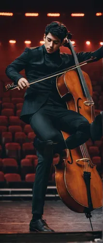 Imagine Raul Velasco as a talented musician who overcomes obstacles to achieve his dream of performing in a sold-out concert.,cello,violoncello,cellist,octobass,concertmaster,violinist,bass violin,vio