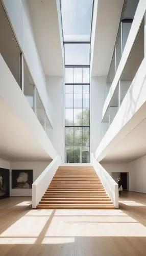 daylighting,atriums,school design,empty hall,pinakothek,atrium,skylights,boijmans,architekten,dojo,cantilevers,lecture hall,folkwang,architektur,konsthall,associati,modern architecture,archidaily,revit,gemeentemuseum,Photography,Black and white photography,Black and White Photography 03