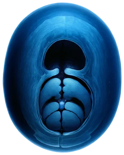 ellipsoid,embryo,ellipsoids,intraperitoneal,urology,diaphragmatic,embryological,oviduct,urological,bosu,urologist,fluoroscopic,diaphragm,umbilical,splenic,mediastinal,cytokinesis,embryogenesis,hydrocele,volvulus,Art,Artistic Painting,Artistic Painting 32