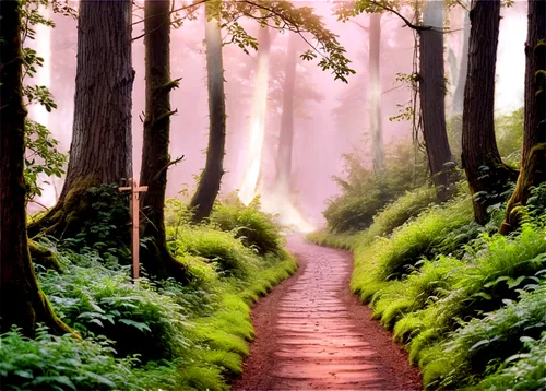 forest path,cartoon video game background,forest road,hiking path,forest walk,forest background,green forest,forest landscape,elven forest,cartoon forest,pathway,forest of dreams,the mystical path,fairy forest,wooden path,forest,forest glade,enchanted forest,fairytale forest,germany forest,Art,Classical Oil Painting,Classical Oil Painting 01