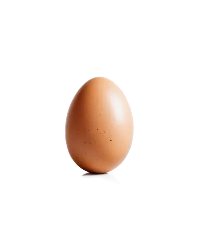 chicken egg,egg,brown egg,eggshell,large egg,soy egg,hen's egg,bisected egg,egg shell,organic egg,boiled egg,painted eggshell,chicken eggs,cracked egg,egg cooked,egg shells,goose eggs,range eggs,egg face,eggshells,Photography,Documentary Photography,Documentary Photography 35