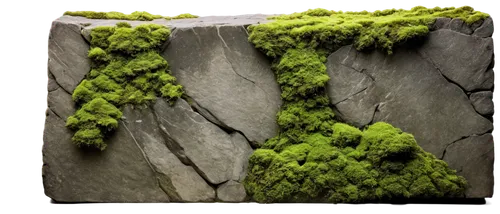 moss landscape,block of grass,mountain stone edge,foliation,virtual landscape,microworlds,tree moss,forest moss,3d background,karst landscape,bryophyte,greenschist,moss,terrain,voxels,soil erosion,bryophytes,quartz sandstone peak woodland landscape,mossy,outcropping,Art,Classical Oil Painting,Classical Oil Painting 31