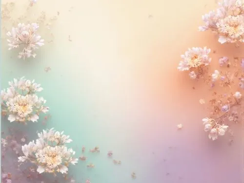 japanese floral background,floral digital background,floral background,pastel wallpaper,flower background,chrysanthemum background,pink floral background,wood daisy background,sakura background,japanese sakura background,spring background,flowers png,watercolor floral background,white floral background,easter background,paper flower background,springtime background,flower wallpaper,transparent background,flowers frame,Photography,General,Realistic