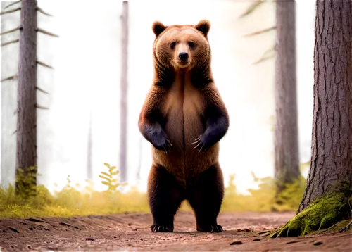 nordic bear,cute bear,brown bear,bear,bear guardian,little bear,scandia bear,forest animal,cub,great bear,bear cub,pandabear,anthropomorphized animals,woodland animals,forest animals,bear bow,bear teddy,baby bear,grizzly bear,grizzly,Art,Artistic Painting,Artistic Painting 25