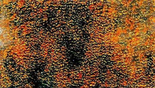 kngwarreye,sea buckthorn,pyracantha,arborvitae,puccinia,orange petals,orange dots,orange tree,pointillism,pointillist,checkerspot,aboriginal art,orange flowers,bienen,beech hedge,abstract painting,banksia,pointillistic,ocher,orange butterfly,Illustration,Retro,Retro 03