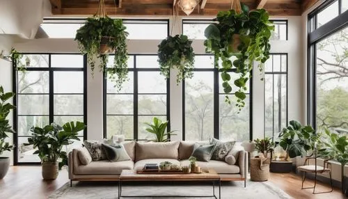 hanging plants,house plants,hanging plant,houseplants,modern decor,green living,houseplant,loft,living room,interior design,balcony garden,money plant,contemporary decor,indoor,sunroom,apartment lounge,philodendron,beautiful home,green plants,balcony plants,Photography,Fashion Photography,Fashion Photography 04