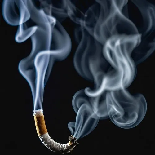 smoking cessation,burning cigarette,nonsmoker,tobacco,abstract smoke,smoke background,cigarette lighter,smoke dancer,smoking ban,smoke,cigarettes on ashtray,smoking accessory,cigarette,no-smoking,nicotine,tobacco products,electronic cigarette,quit smoking,smoking man,smoking crater,Photography,General,Realistic