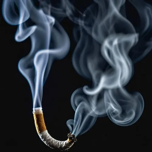 A little smoke on a black background,smoking cessation,burning cigarette,nonsmoker,tobacco,abstract smoke,smoke background,cigarette lighter,smoke dancer,smoking ban,smoke,cigarettes on ashtray,smokin