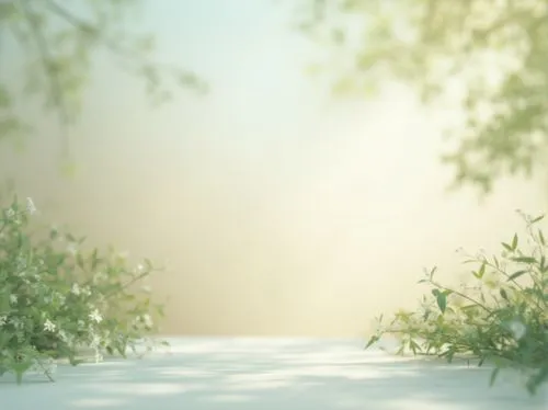 spring background,wood daisy background,render,background bokeh,volumetric,birch tree background,nature background,3d background,forest background,3d rendered,free background,3d render,spring leaf background,landscape background,springtime background,small meadow,translucency,fragrant snow sea,metasequoia,japanese floral background,Photography,General,Realistic