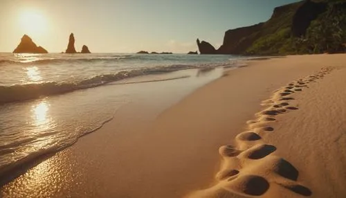 footprints in the sand,footprints,tracks in the sand,sand paths,footprint in the sand,footsteps,sand waves,foot prints,baby footprints,sand ripples,sand road,sand pattern,walk on the beach,baby footprint in the sand,beautiful beaches,tenerife,sand coast,footprint,beautiful beach,footstep,Photography,General,Cinematic