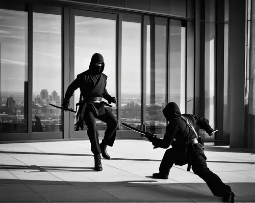 Ninja assassin evades state-of-the-art security,sword fighting,silhouette dancer,eskrima,swordsmen,stage combat,ninjas,japanese martial arts,savate,superheroes,window washer,mannequin silhouettes,mart