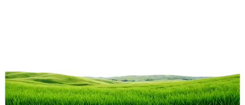 green wallpaper,green landscape,green background,landscape background,green,aaaa,green fields,nature background,green grain,patrol,greenness,green wheat,mobile video game vector background,background view nature,green grass,aaa,green valley,greeniaus,green energy,greener,Illustration,Realistic Fantasy,Realistic Fantasy 45