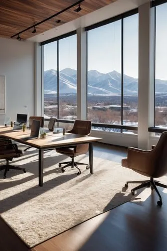 minotti,steelcase,snohetta,natuzzi,modern office,conference table,conference room,oticon,board room,boardroom,interior modern design,furnished office,vitra,office chair,ekornes,offices,penthouses,creative office,contemporary decor,boardrooms,Conceptual Art,Sci-Fi,Sci-Fi 12