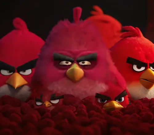 angry birds,angry bird,chicken run,red hen,chicks,flock,crying birds,fire birds,flock of chickens,redcock,feathered race,avian flu,angry,flock home,flock of birds,red robin,red hangover,hatchlings,chicken farm,the birds