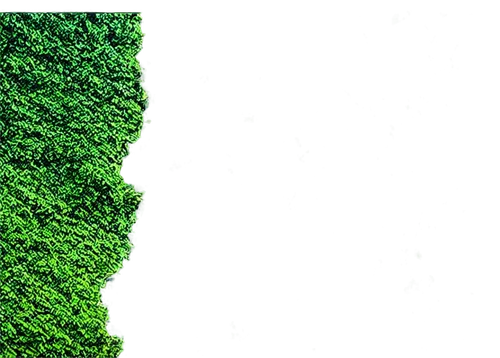 landcover,green wallpaper,green trees with water,background ivy,green border,green background,green trees,green forest,landsat,kudzu,verdant,photogrammetric,srtm,greenscreen,green landscape,emerald sea,chlorophyll,hedge,terraformed,green waterfall,Illustration,Japanese style,Japanese Style 05