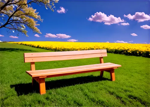 wooden bench,bench,benches,red bench,garden bench,park bench,wood bench,yellow rose on red bench,springtime background,chair in field,bench chair,3d background,spring background,landscape background,man on a bench,picnic table,nature background,background view nature,stone bench,benched,Illustration,Black and White,Black and White 32