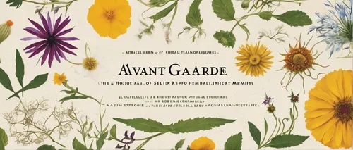 arable widow flower,cd cover,arable widow flowers,garden logo,flower garden,flower illustrative,perennial plants,cover,kahila garland-lily,alpine aster,flower garland,alpine meadow,calenduleae,catalog,gaillardia,gazania,cottage garden,clove garden,wild meadow,garden loosestrife,Photography,Fashion Photography,Fashion Photography 26