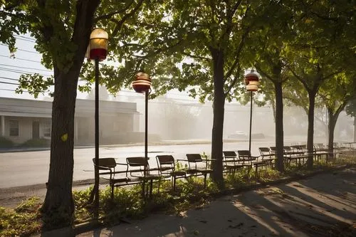 esplanades,urban park,esplanade,tree-lined avenue,city park,pedestrian lights,city fountain,evagora,center park,boulevard,streetlamps,tree lined avenue,render,promenade,capitol square,street lamps,autumn park,avenue,central park,benches,Photography,Documentary Photography,Documentary Photography 31