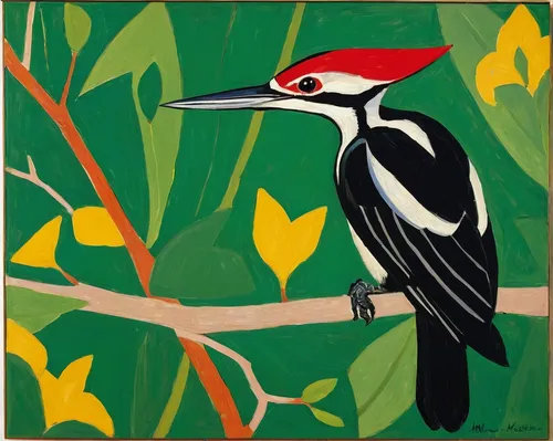 Pileated Woodpecker,ivory-billed woodpecker,pileated woodpecker,woodpecker,woodpecker bird,bird painting,red-bellied wood pecker,broadbill,flicker woodpecker,hornbill,woodpecker finch,spur-winged plov