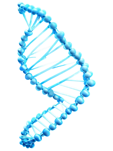 dna helix,dna,deoxyribonucleic acid,dna strand,genetic code,nucleotide,rna,biosamples icon,double helix,isolated product image,the structure of the,trisomy,pcr test,mutation,limicoles,acefylline,biological,oligosaccharides,chromosomes,bio,Illustration,Paper based,Paper Based 13