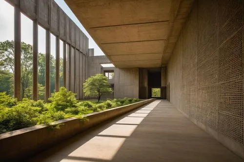 gulbenkian,glucksman,serralves,kimbell,peristyle,zumthor,adjaye,mfah,deyoung,breezeway,breuer,mcnay,chipperfield,bunshaft,seidler,sackler,clerestory,midcentury,salk,corten steel,Illustration,Japanese style,Japanese Style 16