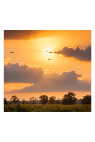 paraglider sunset,jet and free and edited,sunrise flight,postprocessing,flightpath,bird flight,birds in flight,flypast,sailplane,recompose,photo art,black hawk sunrise,makgadikgadi,vignetting,sunrise in the skies,scampton,flyby,flybys,pictorialist,airfield,Art,Classical Oil Painting,Classical Oil Painting 39