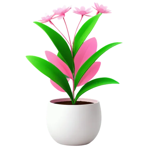 flowers png,pink hyacinth,potted plant,pink plumeria,pink lisianthus,adenium,flowerpot,flower background,pink flower,ornamental plant,potted flowers,pink tulip,gymea lily,centaurium,container plant,houseplant,flower pot,potted palm,ornamental plants,flower vase,Conceptual Art,Daily,Daily 24