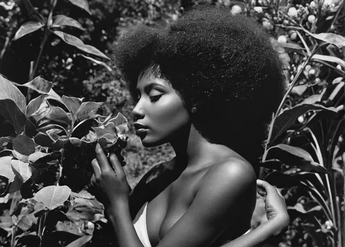 afro american girls,beautiful african american women,afro,black woman,afro-american,afro american,african american woman,black women,african woman,afroamerican,bough,rwanda,shea butter,black skin,black models,ebony,black landscape,ethiopian girl,linden blossom,jasmine bush,Photography,Black and white photography,Black and White Photography 11