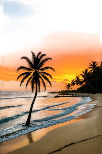 tropical beach,sunset beach,beach landscape,caribbean beach,caribbean,sunrise beach,tropical sea,dream beach,tropical house,beach scenery,the caribbean,caribe,antilles,caribbean sea,guadeloupe,beautiful beaches,tobago,paradises,beautiful beach,sunburst background,Illustration,Abstract Fantasy,Abstract Fantasy 09