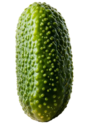 chayote,soursop,avacado,persian lime,peperoncini,feijoa,melon,avocado,pitahaya,pitahaja,breadfruit,spanish lime,avo,ugli fruit,cucumis,kiwano,rabihorcado,pepino,bergamot,sugar-apple,Conceptual Art,Daily,Daily 06