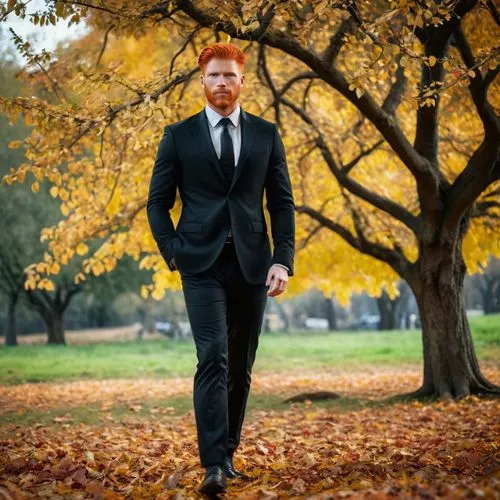 sheamus,vestberg,autumn background,autumns,autumn photo session,autumn frame,Photography,General,Cinematic