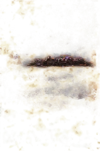 stigmella,disc fungus,azolla,xanthophylls,xanthomonas,finch in liquid amber,amphibole,leaves frame,autumn frame,reflection of the surface of the water,tadpoles,puccinia,round autumn frame,duckweed,agonopterix,cercospora,springtail,pool water surface,oxidation,microhylid,Illustration,Black and White,Black and White 25