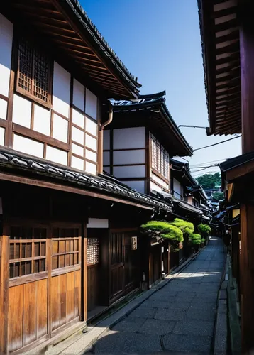 hanok,namsan hanok village,shirakawa-go,ryokan,kanazawa,kyoto,japanese architecture,tsukemono,nanzen-ji,koyasan,bukchon,kodaiji temple,nara prefecture,淡島神社,kawachi town,honzen-ryōri,senso-ji,kiyomizu,byōdō-in,rokuon-ji,Illustration,Black and White,Black and White 26