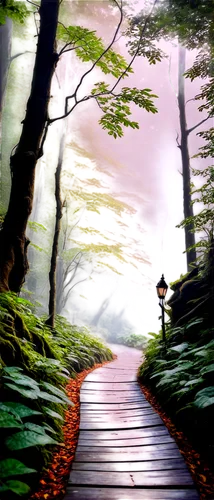 forest path,pathway,cartoon video game background,the mystical path,wooden path,hiking path,the path,forest road,forest walk,trail,path,wander,world digital painting,paths,forest background,hollow way,landscape background,forest of dreams,forest landscape,forest,Art,Classical Oil Painting,Classical Oil Painting 11