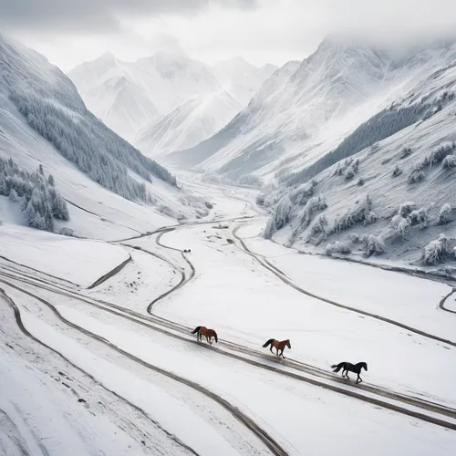 bernina pass,the pamir highway,xinjiang,alcan highway,tibet,icefields parkway,great aletsch glacier,landscape mountains alps,the mongolian-russian border mountains,wild horses,mountain pass,the pamir mountains,the mongolian and russian border mountains,jasper national park,the alps,stelvio,icefield parkway,inner mongolian beauty,snowy landscape,alpine route,Photography,Documentary Photography,Documentary Photography 19