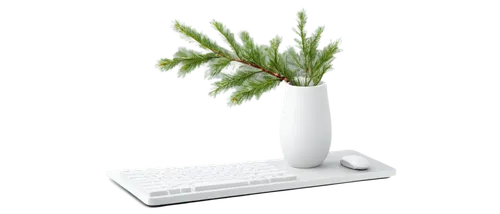 hostplant,deskjet,cupressaceae,small tree,huana,potted tree,dacrydium,hostplants,tree white,xmas plant,dwarf tree,bonsai tree,darwinia,fir tree,boxwoods,blur office background,bierenbaum,norfolk island pine,fern plant,juniperus,Conceptual Art,Sci-Fi,Sci-Fi 07