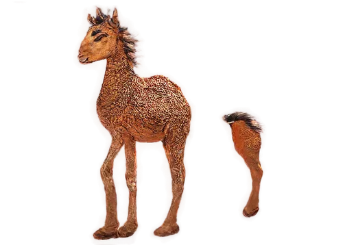 giraffa,camelpox,camelid,giraffe plush toy,llama,giraffe,alpaca,camelopardalis,guanaco,vicuna,alpacas,camelus,nazari,genoino,foal,melman,guanacos,appaloosa,kemelman,suckling foal,Illustration,Black and White,Black and White 12