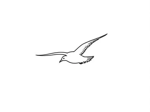 the outline of a bird flying through the sky,tropicbird,fairy tern,tern bird,tern,flying tern,royal tern,Design Sketch,Design Sketch,Rough Outline