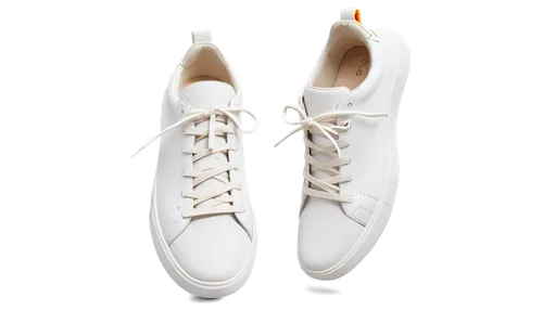 linen shoes,plimsoll shoe,wedding shoes,dancing shoe,pointe shoes,ballet shoe,bridal shoes,tisci,athletic shoe,cloth shoes,dancing shoes,american football cleat,shoelaces,tennis shoe,formal shoes,outdoor shoe,soccer cleat,women's shoes,white new,bridal shoe,Conceptual Art,Sci-Fi,Sci-Fi 24