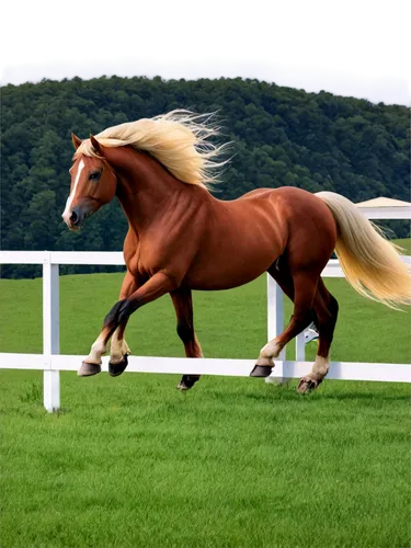 Rural landscape, rolling hills, green grass, white fence, majestic horse, brown coat, flowing mane, strong muscles, galloping, freedom, panoramic view, warm sunlight, soft focus, natural colors, cinem